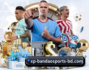 半岛体育平台 APP 深度功能 | BANDAO SPORTS